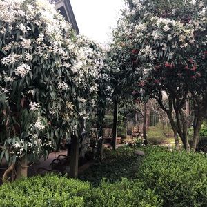 Meet your Posher, Ellis